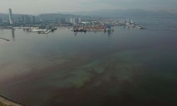 'İzmir Körfezi'nde kim suçlu?' tartışması... Tugay'ın 'cahilce' çıkışına uzmanından 'ölçüm' yanıtı!