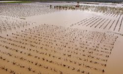 Salihli'de dereler taştı, tarım arazileri su altında kaldı