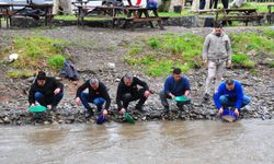 Sosyal medyada buluşup dereye indiler: İzmir’de altın avı