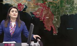 CHP’li Kılıç’tan ‘orman tahsisleri’ için açıklama: İzmir’in doğası rant rezervi değildir!