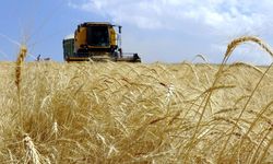 Çiftçilere tarımsal destekleme ödemesi yarın yapılacak