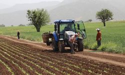 Bakanlık'tan 'savaş' kararı: Vergi sıfıra indi!