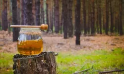 Yüzde 90’ı Türkiye'den çıkıyor… İhracat rakamları yüz güldürmüyor!