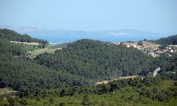 Orman ve SİT alanında imar hamlesi: Urla’da 85 villa planı askıda!