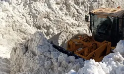 Van'da çığ düştü: 1 mahalle ve 8 mezra ulaşıma kapandı