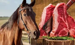 Kasapların Başkanı’ndan dikkat çeken ‘at eti’ açıklaması: Bu durum şebeke usulü!