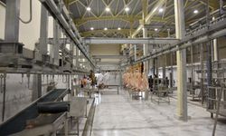 İzmir’de 4 mezbahaya mühür: ‘Bakanlık yine eline yüzüne bulaştırdı!’