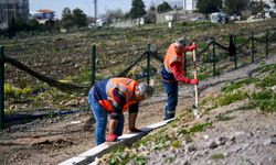 Bornova bahara hazırlanıyor!