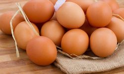 Belediyeden ucuz yumurta hamlesi!