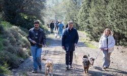 3 bin can dosta yeni yuva!