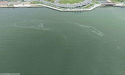 Vatan hainleri yine kirletti... Kasım'dan bugüne 10'uncu kez!