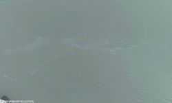 Çevre katilleri iş başında!