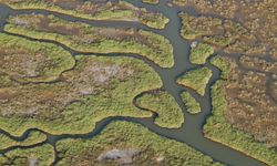 Bilimden uyarı... Gediz'in kirliliği yeraltına sıçrayabilir!