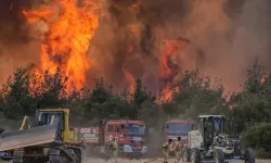 Aralarında İzmir de var... Yangın dosyalarında ret kararı!
