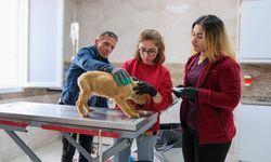 Menemen’de can dostlara rekor hizmet