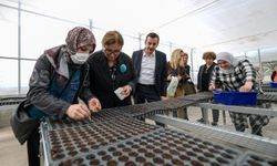 İzmir’de iklim dayanıklılığı güçleniyor