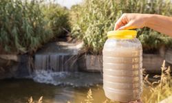 Büyükşehir'den açıklama: Körfez’in zehri Gediz’den!