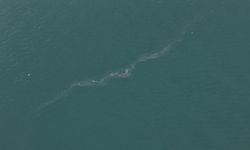 Son 6 ayda 13'üncü ihanet... Yine kirlettiler!