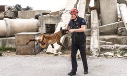 Barınaktan kahramanlığa: Momo’nun yolculuğu