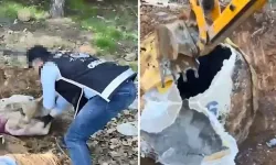 Toprağa gömülü cephane ele geçirildi