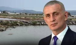 Milli futbolculara hediye edilecek... TFF başkanının villaları kuşları kaçırdı