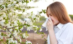 Uzmanından uyarı: Polen alerjisinde erken tedavi şart
