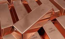 Dev bankadan kritik rapor: Bakırda 13 bin dolar tahmini