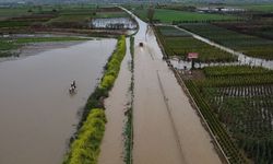 İzmir'in tarım deposunu sel vurdu!