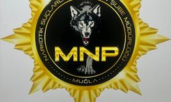 Muğla'da zehir operasyonu... Gözaltına alınan şüpheli tutuklandı