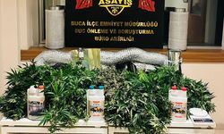 Uyuşturucu serasına operasyon: 2 gözaltı