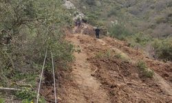 Kahreden son: Elektrik direği devrildi, hayatını kaybetti