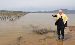 TZOB Genel Başkanı sahaya indi... Menemen'de tarım sular altında!