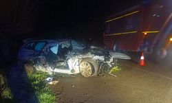 Ağaca çarptı... Müdahaleye rağmen kurtarılamadı!