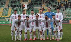 Altınordu'da yaprak dökümü!