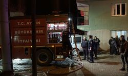 Aydın’da korkutan yangın: 2 kardeş dumandan etkilendi