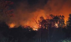 Beykoz'da orman yangını: Alevler yeniden yükseldi