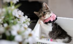 Buca'da ‘Zero’ seferberliği!