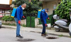 Buca’da yaz öncesi seferberlik!
