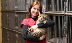 Buca’da 599 patili dost sıcak yuvaya kavuştu