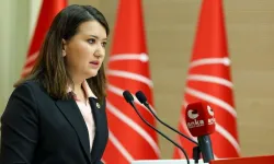 CHP'li Gökçen'den 'Durbay' paylaşımında isim vermeden yüklendi: Ahlak yoksunları..