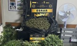 'Zehir' deposuna baskın!