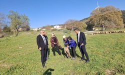 Urla'da imar tartışması... “Mücevher kralı”na açık mesaj!