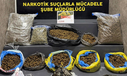 İzmir'de 'zehir' baskını!