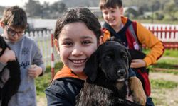 Doğa ve patili dostlar şifa dağıtıyor