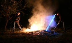 Sıfırın altında 'don' nöbeti!