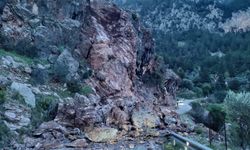 Turistik bölgede korku dolu an!