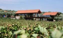 Tarım arazilerinde yeni dönem: İzinsiz yapılar yıkılacak!