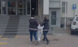 24 yaşında 21 suç kaydı... 114 yıl hapisle aranan firari kadın yakalandı