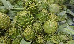 Urla enginarına savaş freni!