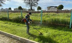 Aydın'da yeşil alanlara bahar dokunuşu